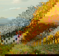 Mount Barker - VIC Tourism