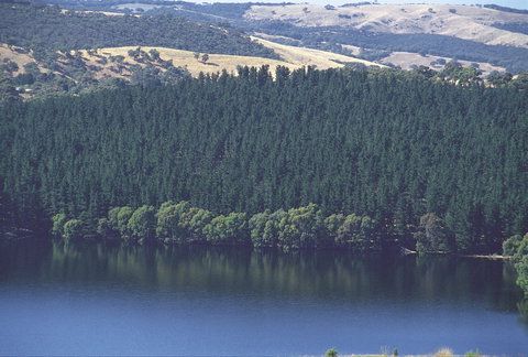 Myponga Reservoir Lookout - VIC Tourism 0