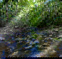 Nambucca Valley - VIC Tourism