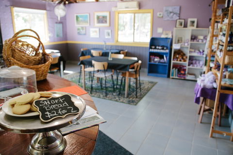 Nannup Lavender Farm - VIC Tourism 0