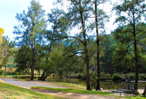 Ophir Reserve - VIC Tourism 1