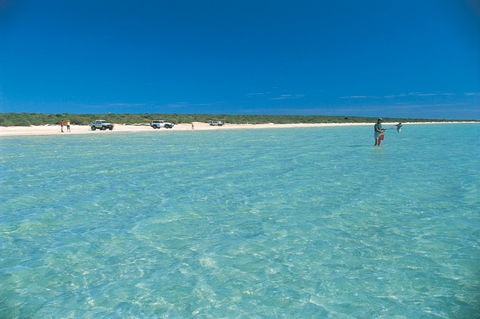 Shark Bay World Heritage Drive - VIC Tourism 1