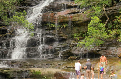 Somersby Falls Picnic Area - VIC Tourism 0