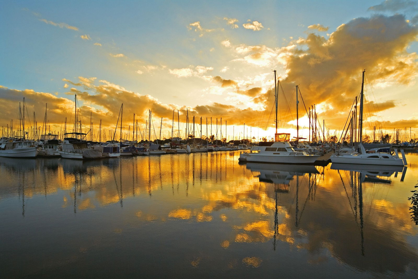  VIC Tourism