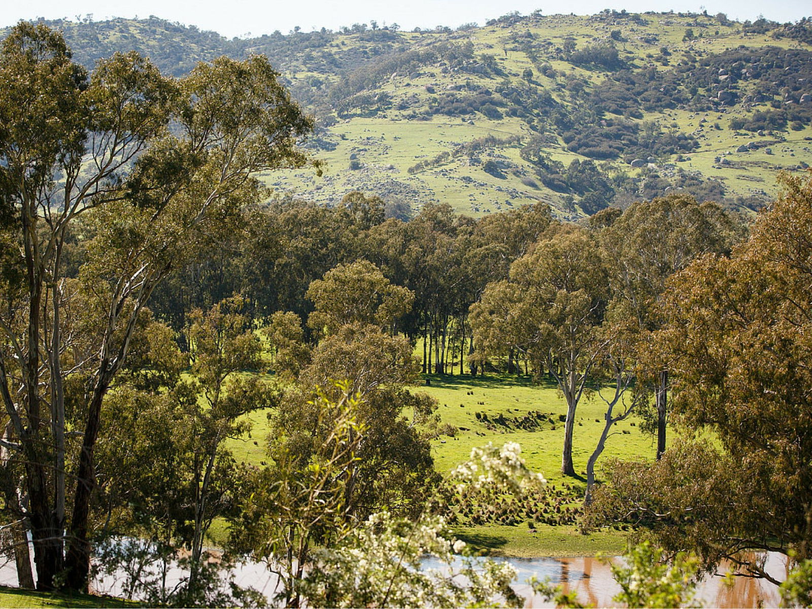 Trawool VIC VIC Tourism