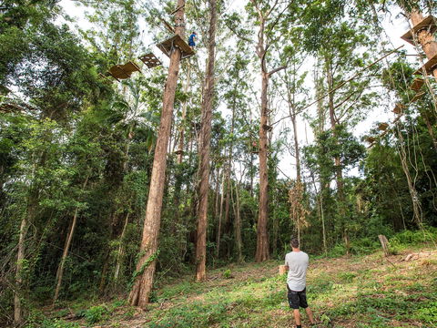 TreeTop Challenge - Sunshine Coast - VIC Tourism 1