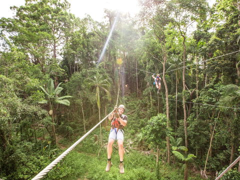 TreeTop Challenge - Sunshine Coast - VIC Tourism 2