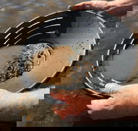 Tuena Panning for Gold - VIC Tourism