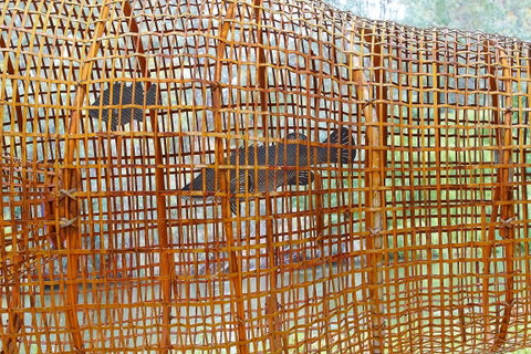 Wagirra Trail And Yindyamarra Sculpture Walk - VIC Tourism 2