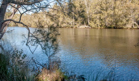 Wandandian Creek Picnic Area - VIC Tourism 0