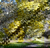 Wattle Park - VIC Tourism