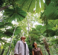 Wet Tropics Rainforest - VIC Tourism