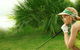 Whitsunday Green Club (Golf) - thumb 0