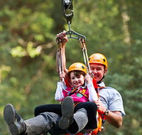 Zipline at Illawarra Fly - VIC Tourism