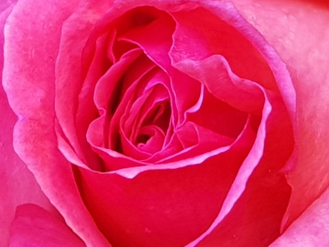 Abandon Stress Mobile Massage - VIC Tourism 0