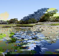 Anderson Park Botanic Gardens - VIC Tourism