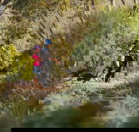 Australian Arid Lands Botanic Garden - VIC Tourism