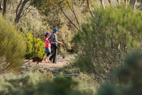 Australian Arid Lands Botanic Garden - VIC Tourism 0