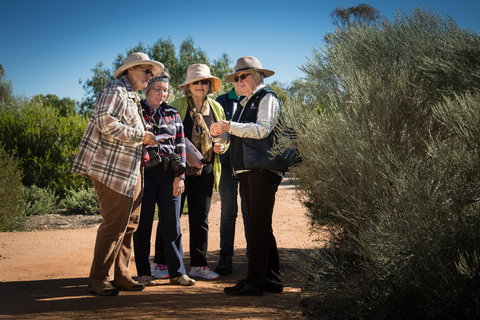 Australian Arid Lands Botanic Garden - VIC Tourism 2