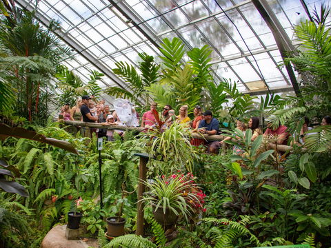 Australian Butterfly Sanctuary - VIC Tourism 2