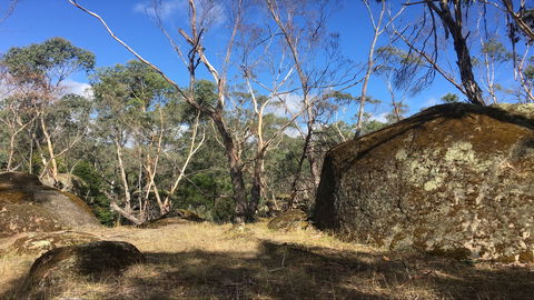 Bailey's Rocks - Dergholm State Park - VIC Tourism 0