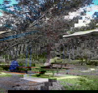 Barrington Tops State Forest - VIC Tourism