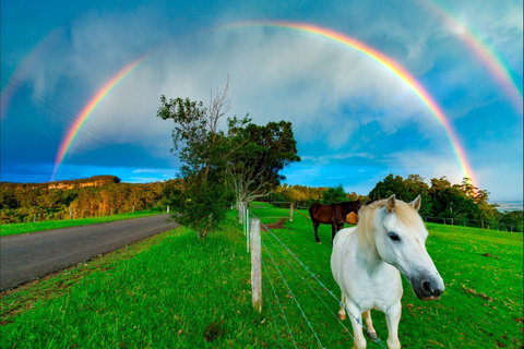 Berry - VIC Tourism 1