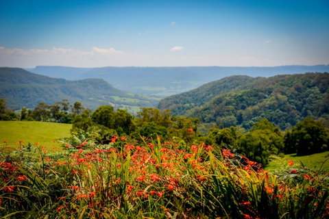 Berry - VIC Tourism 2