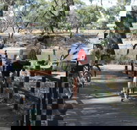 Bidgee Riverside Trail  - Hay Nature Walk - VIC Tourism