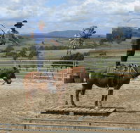 Boggy Creek Show - VIC Tourism