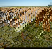 Borroloola - VIC Tourism
