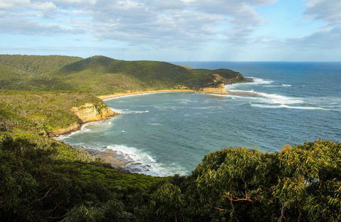 Bullimah Spur Track - VIC Tourism 0