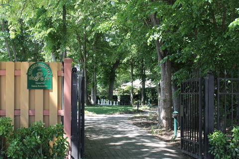 Bungendore Heritage Walk - VIC Tourism 0