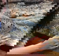 Canberra Reptile Zoo - VIC Tourism