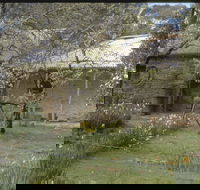 Castlemaine Diggings National Heritage Park - VIC Tourism