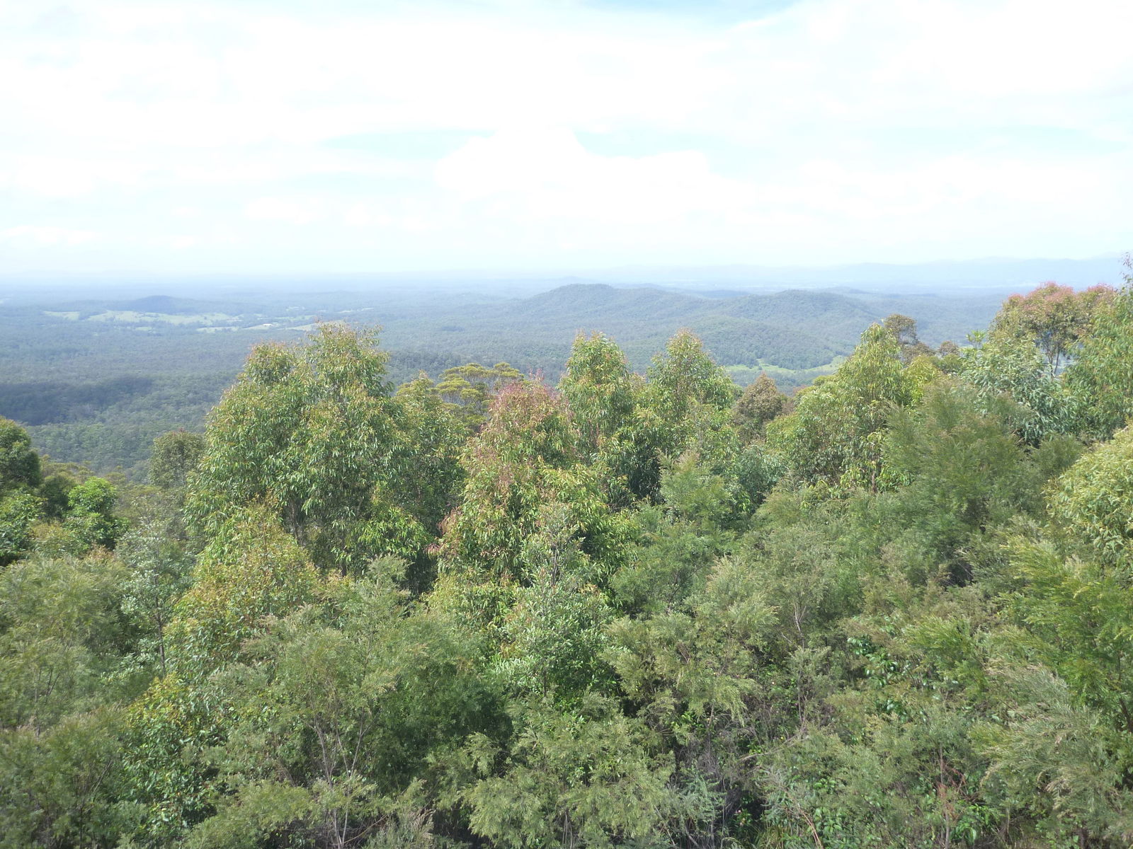 Mungay Creek NSW VIC Tourism