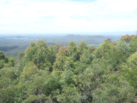 Collombatti Lookout - VIC Tourism 0