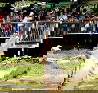 Crocodylus Park and Zoo - VIC Tourism