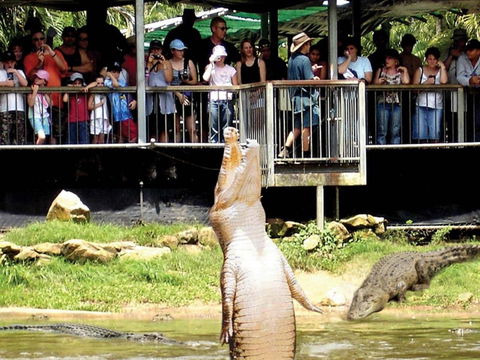 Crocodylus Park And Zoo - VIC Tourism 0