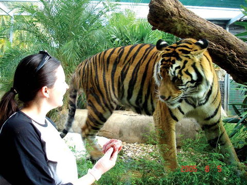 Crocodylus Park And Zoo - VIC Tourism 2