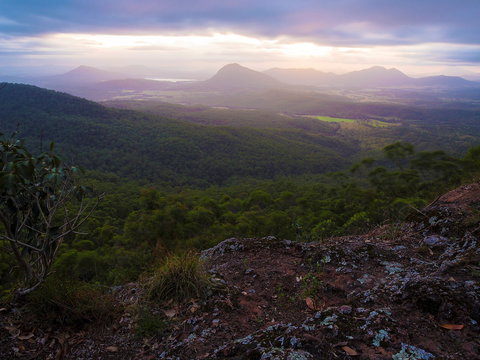 Cunninghams Gap And Spicers Gap, Main Range National Park - VIC Tourism 0