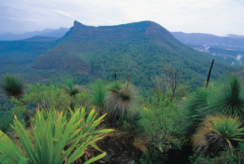 Cunninghams Gap And Spicers Gap, Main Range National Park - VIC Tourism 1