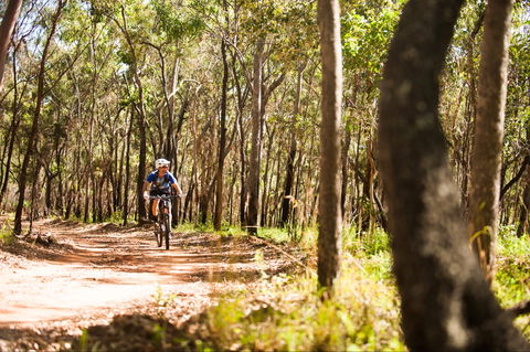 Davies Creek Mountain Bike Park - VIC Tourism 1