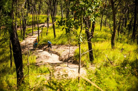 Davies Creek Mountain Bike Park - VIC Tourism 2