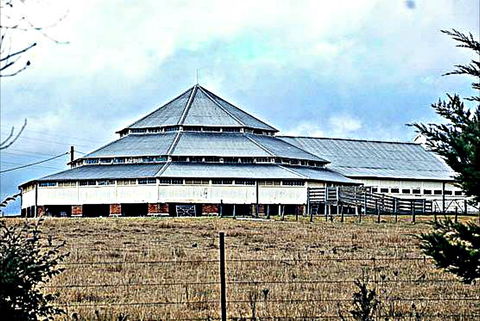 Deeargee Woolshed - VIC Tourism 0