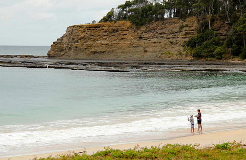 Depot Beach Picnic Area - VIC Tourism 0