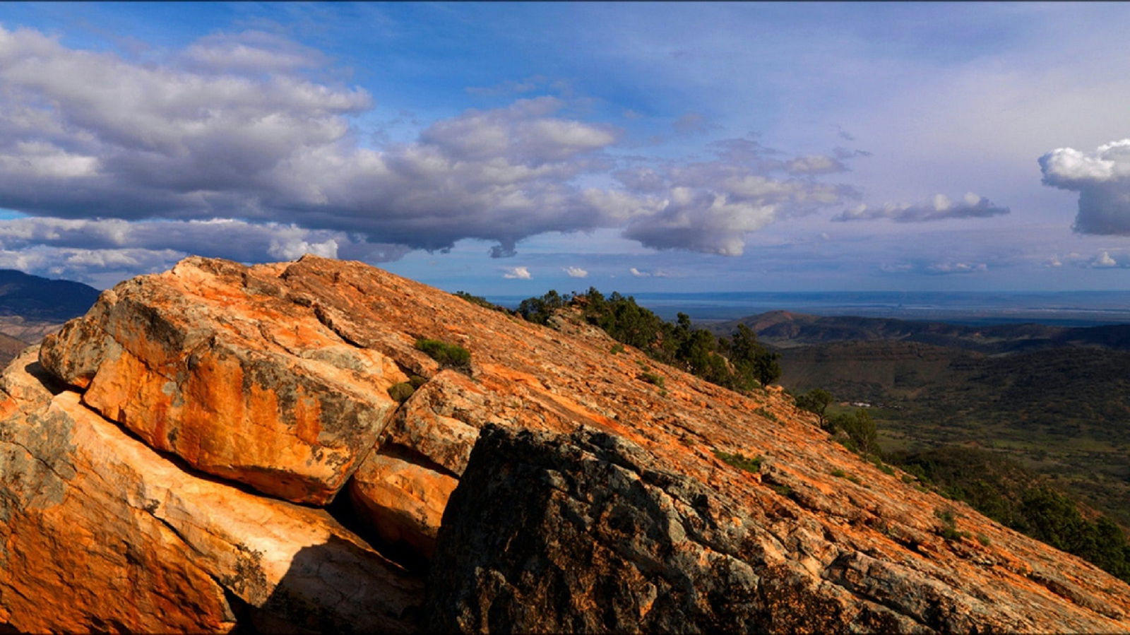  VIC Tourism