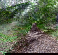 Double Wharf Trail - VIC Tourism