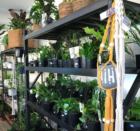 Fancy Plants - VIC Tourism 0