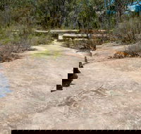Finchley Cultural Walk - VIC Tourism